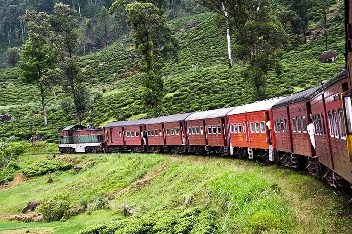 Opzioni di Viaggio da Colombo a Kandy