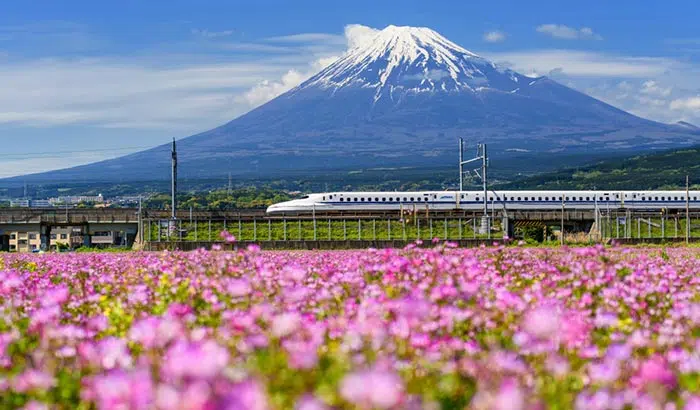 E’ Sicuro Prendere il Treno in Giappone?